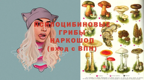кокаин колумбия Ельня