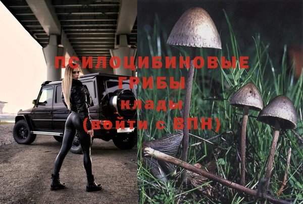 mix Покачи